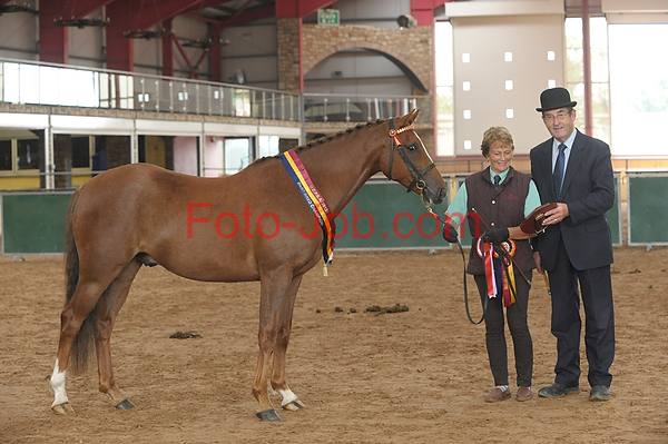 Preview 14_CF3_2111.jpg